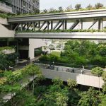 When Asked to Build a Hospital That Lowers Blood Pressure, They Built a ‘Forest-Like’ Sanctuary