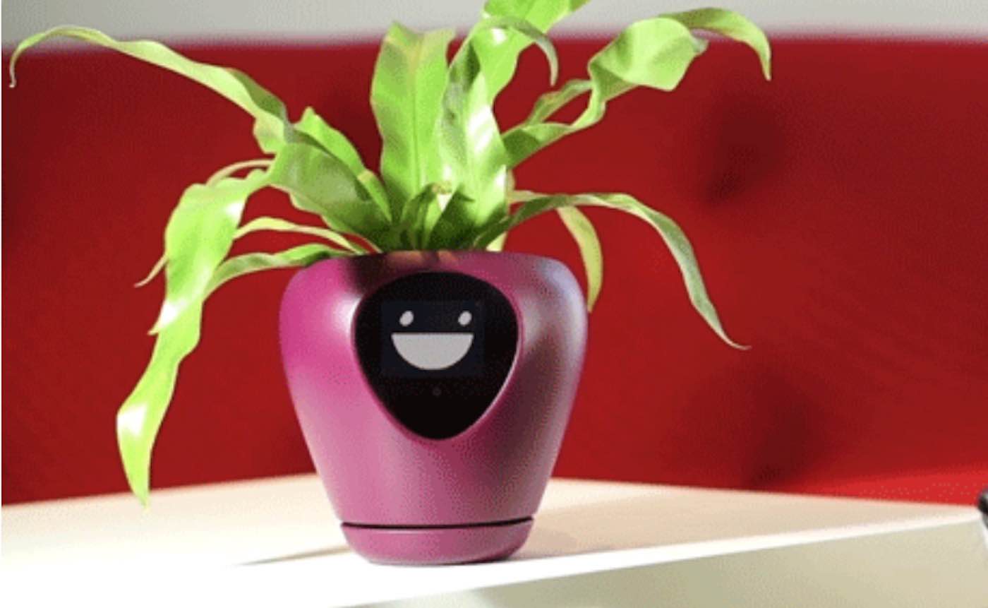 No Green Thumb? This Adorable Planter Can Display Your