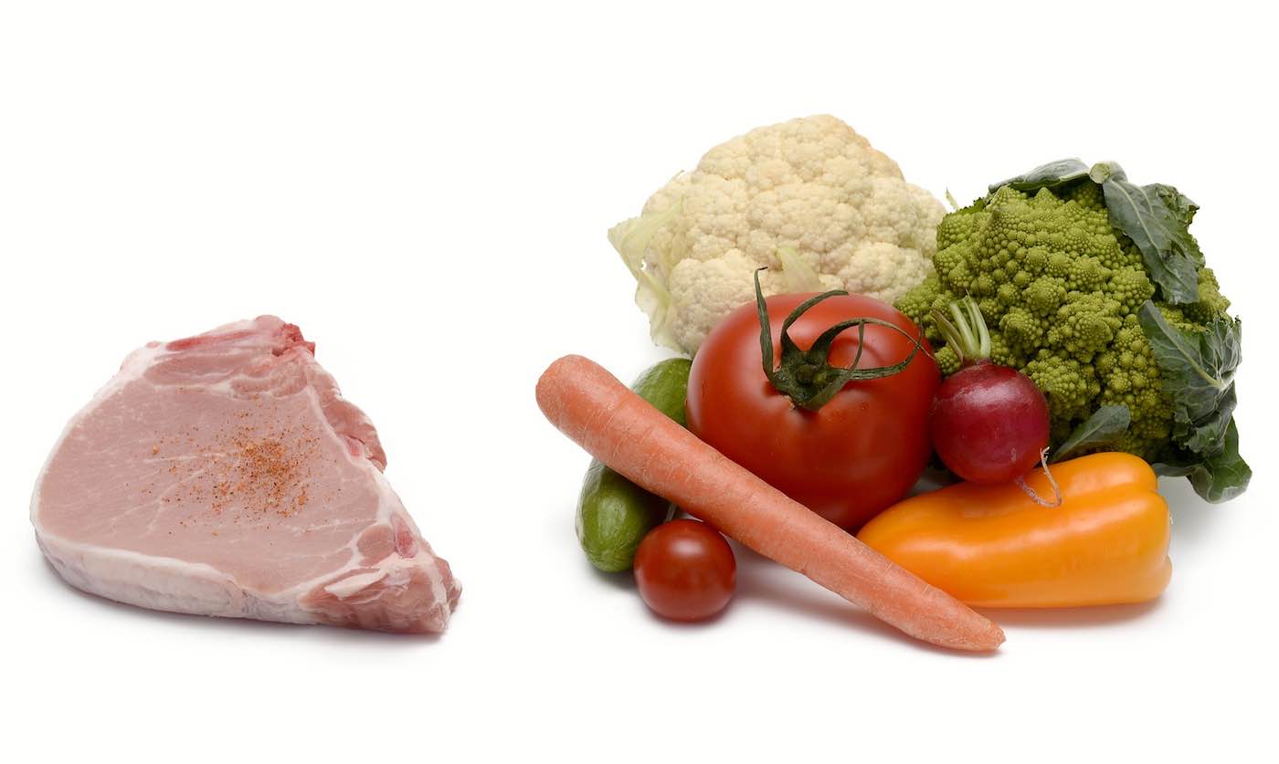 plant diet vs meat diet