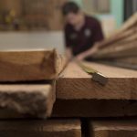 We May Soon Be Able to Use Ultra-Thin Slice of Wood to Safely Clean and Drink Salt Water