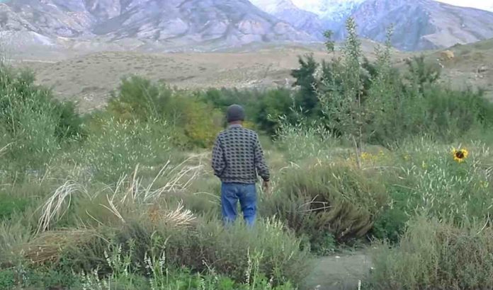 Anand Dhawaj Negi-Down to Earth Youtube Screenshot