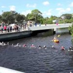 Watch Rescuers Form a Human Chain to Save Four Dolphins Trapped in Florida Canal