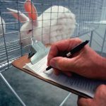 EPA to Begin Phasing Out Animal Testing and Funding Studies for More Humane Research Methods