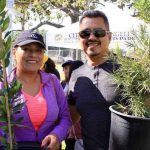 Los Angeles is Giving Out Free Trees for Yards and Neighborhoods; Here’s How to Get up to 7