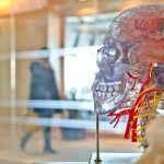 Researchers Discover Brain’s ‘Off Switch’ for Epilepsy—And It Could Revolutionize Drug-Free Treatment