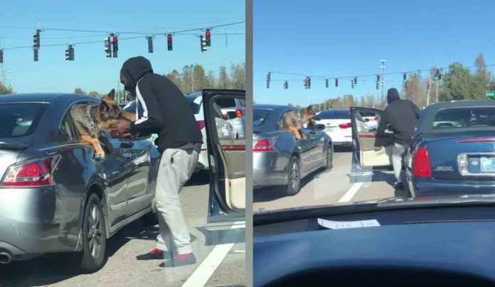 Man Petting Dog in Traffic-Caters News Agency Youtube Screenshot