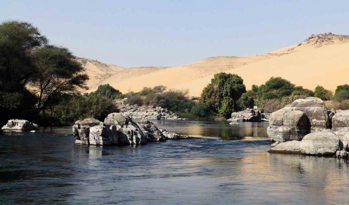 River and Tree Forest in Desert-Public Domain via PxFuel