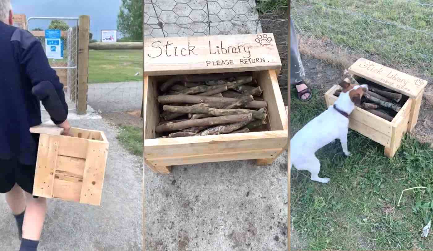 Setelah Melihat Kurangnya Tongkat Bagus Di Taman, Ayah Mengubah Cabang Pohon Tua Menjadi ‘Perpustakaan Tongkat’ untuk Anjing Lingkungan
