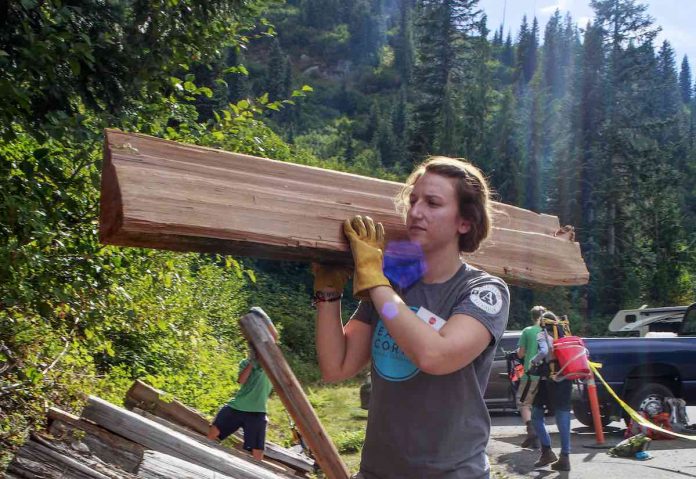 woman volunteer worker carries lumber-cc-Mount Rainier National Park
