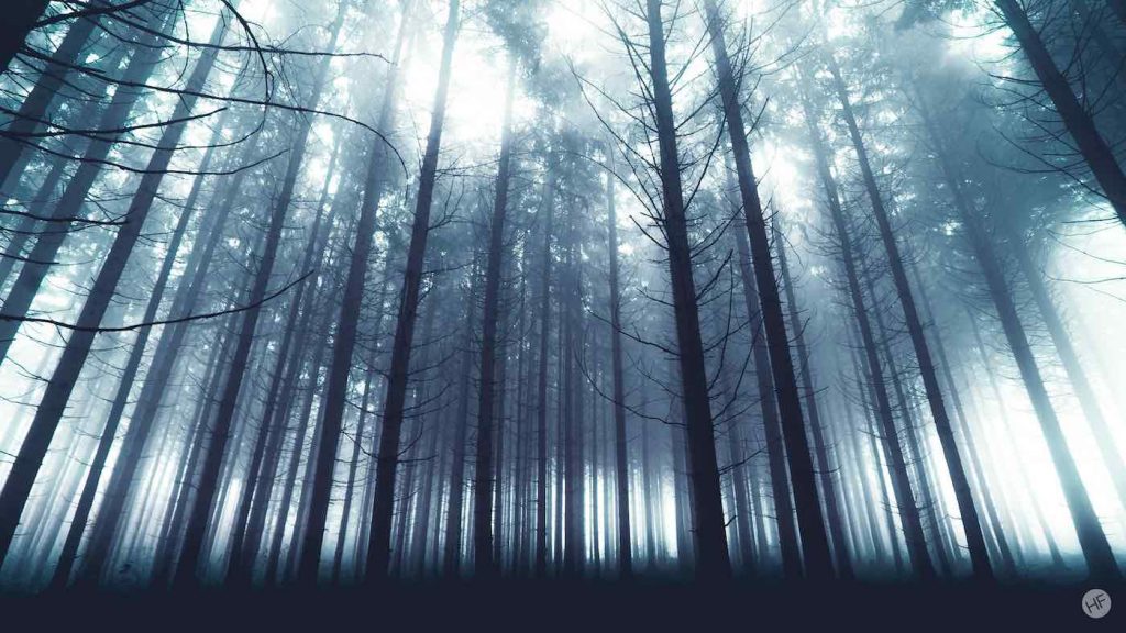 By Hannes Flo, CC license