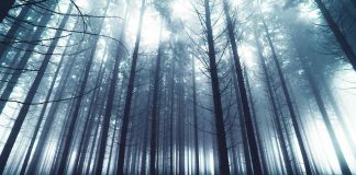 By Hannes Flo, CC license