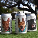 Minnesota Woman Reunited With Long-Lost Dog After It Was Featured on Florida Beer Advertisement