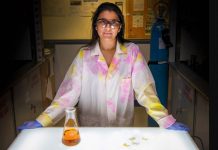 Researchers Recycle McDonald’s Deep Fryer Oil into Cheap, Biodegradable 3D Printing Material