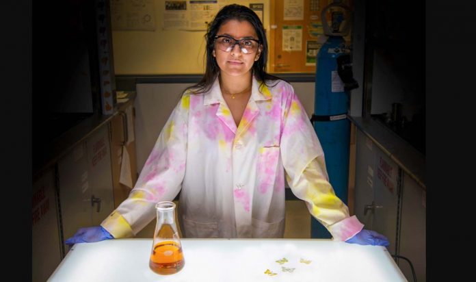 Rajshree Biswas Feature-Don Campbell : University of Toronto Released
