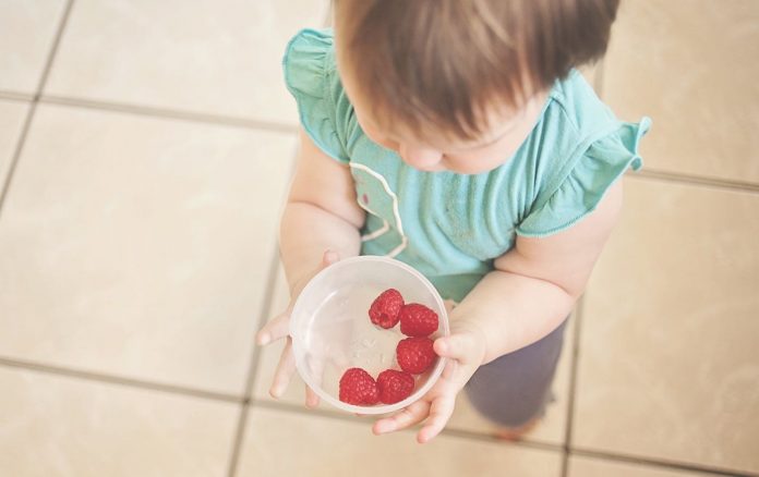 Toddler Holding Raspberries-Kathrin Pienaar : University of Washington