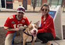 Chiefs Player Celebrates Super Bowl Win By Covering the Adoption Fees for 109 Shelter Animals