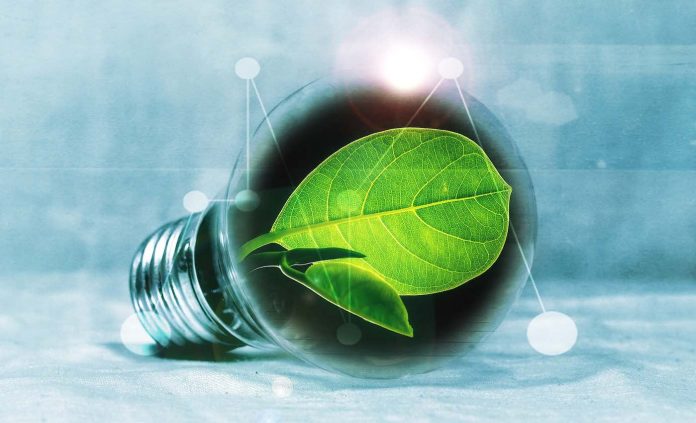 green leaf inside lightbulb-energy-Tokyo University of Science released pr