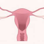 THC Holds Promise As Possible First-of-Kind Treatment for Women With Endometriosis: Study