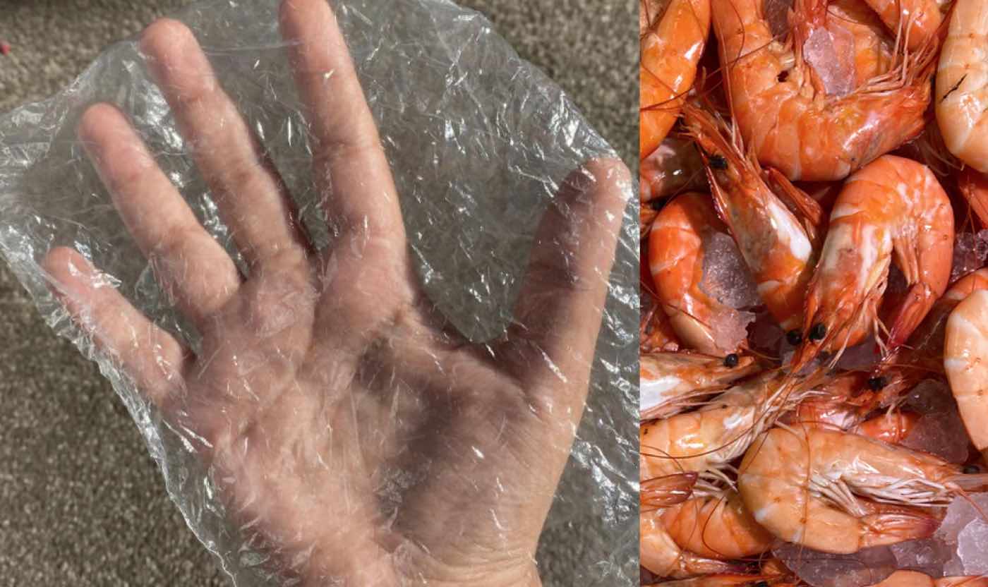Plastic wrap made from shellfish and plants is completely compostable