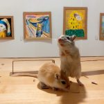 Friday Funnies: Look Inside This Mini Art Gallery That a Bored Couple in Quarantine Made for Their Pet Gerbils