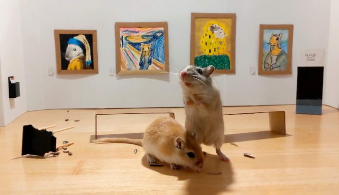 Art Gallery for Gerbils 3-SWNS