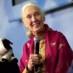 On Her 86th Birthday, Check Out the Jane Goodall Documentary Trailer We Can All Use Right Now: ‘The Hope’