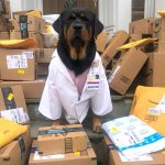 This Therapy ‘Dogtor’ is Delivering Thousands of ‘Hero Healing Kits’ to Hospital Workers on the Frontlines