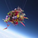 Watch Artist’s Enchanting Video of Flowers Floating 18 Miles Above the Earth