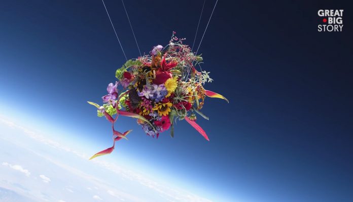Flowers in Outer Space-Great Big Story Youtube Screenshot