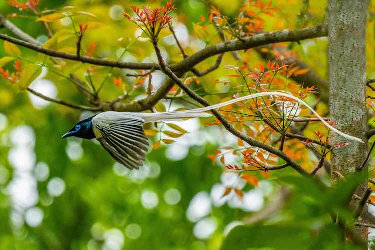 These 12 Stunning Photos Were Voted Best in the World For Depicting the  Essence of Spring