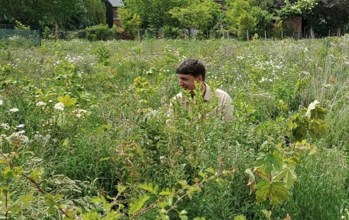 Urban Forest in Belgium-Urban Forests Instagram