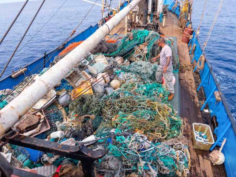 Hawaii Group Sets Record For Largest Haul of Plastic Removed From The ...