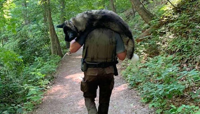 ranger carrying dog-Lexie Daniel-1400-submitted
