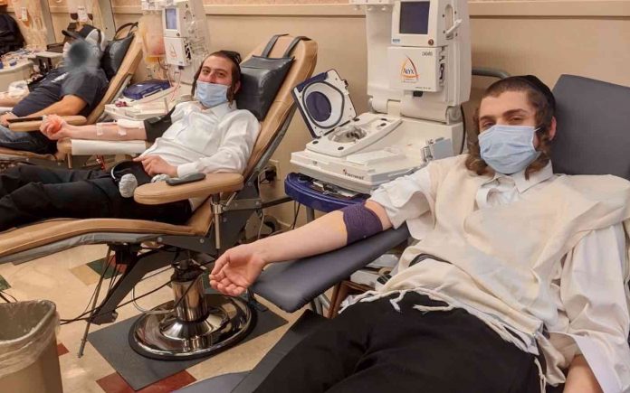 Orthodox Jewish Blood Drive-Chaim Lebovits Twitter