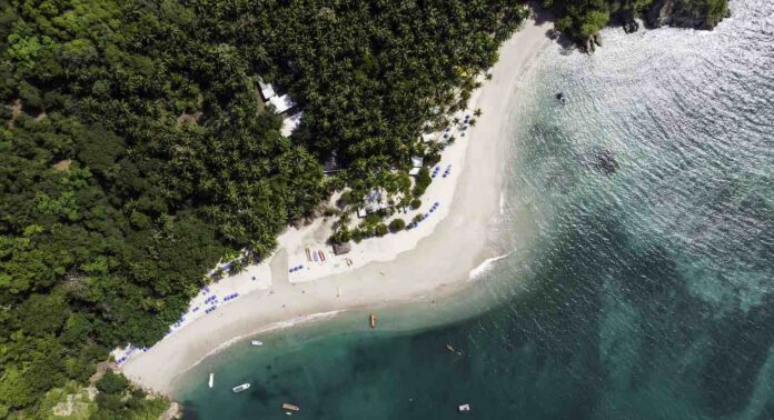 Tortuga-tropic trees and beach-pubdomain-Atanas Malamov