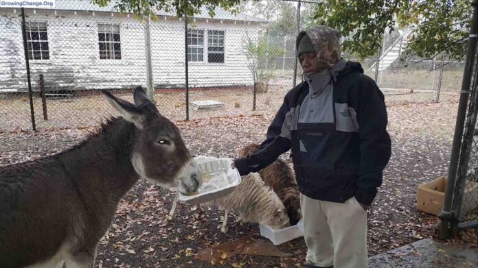 growingchange-prison-flip-animal-husbandry-FB