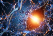 Life Really Does Flash Before Our Eyes in Final Moments, Brain Scans Suggest