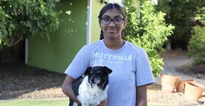 Meena Kumar-Pet Fairy Services-released