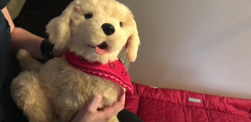 Hasbro's Joy for All Pet, interactive puppy 