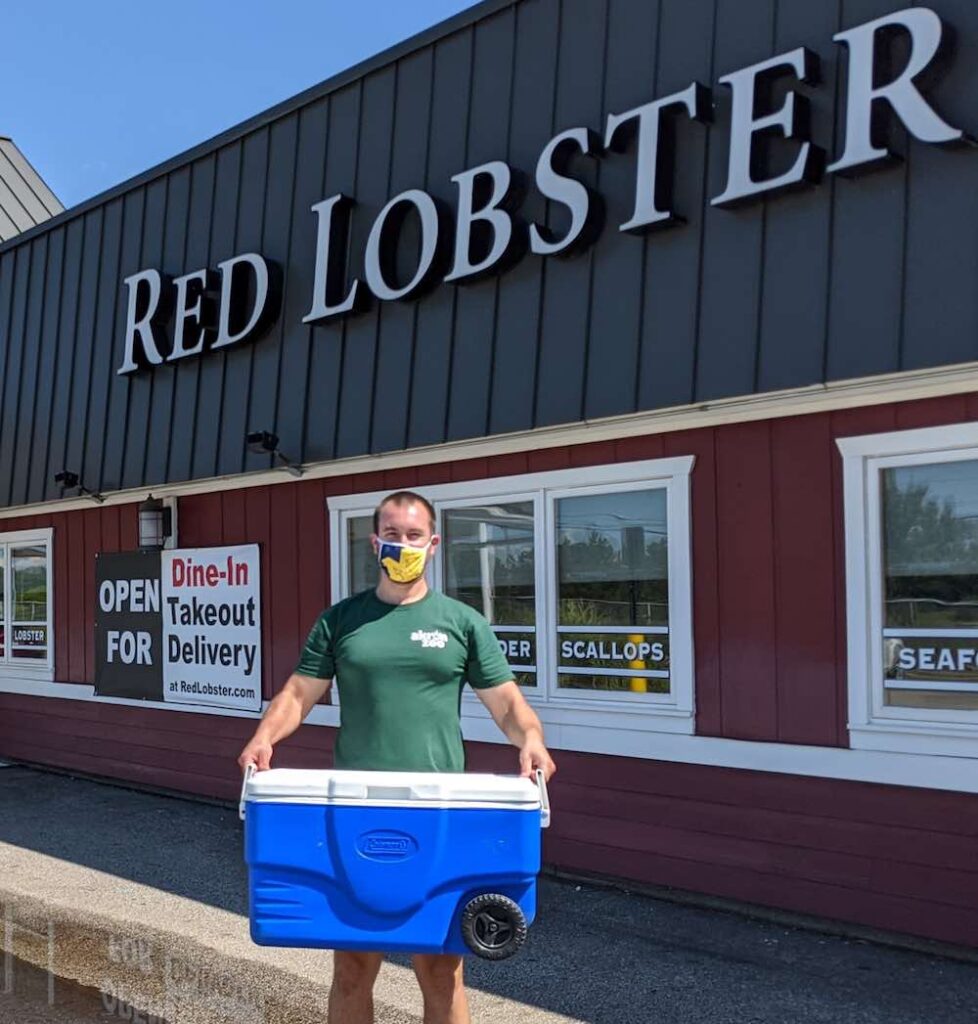 Red Lobster Employee Saves a Rare Blue Lobster And Restaurant Finds a