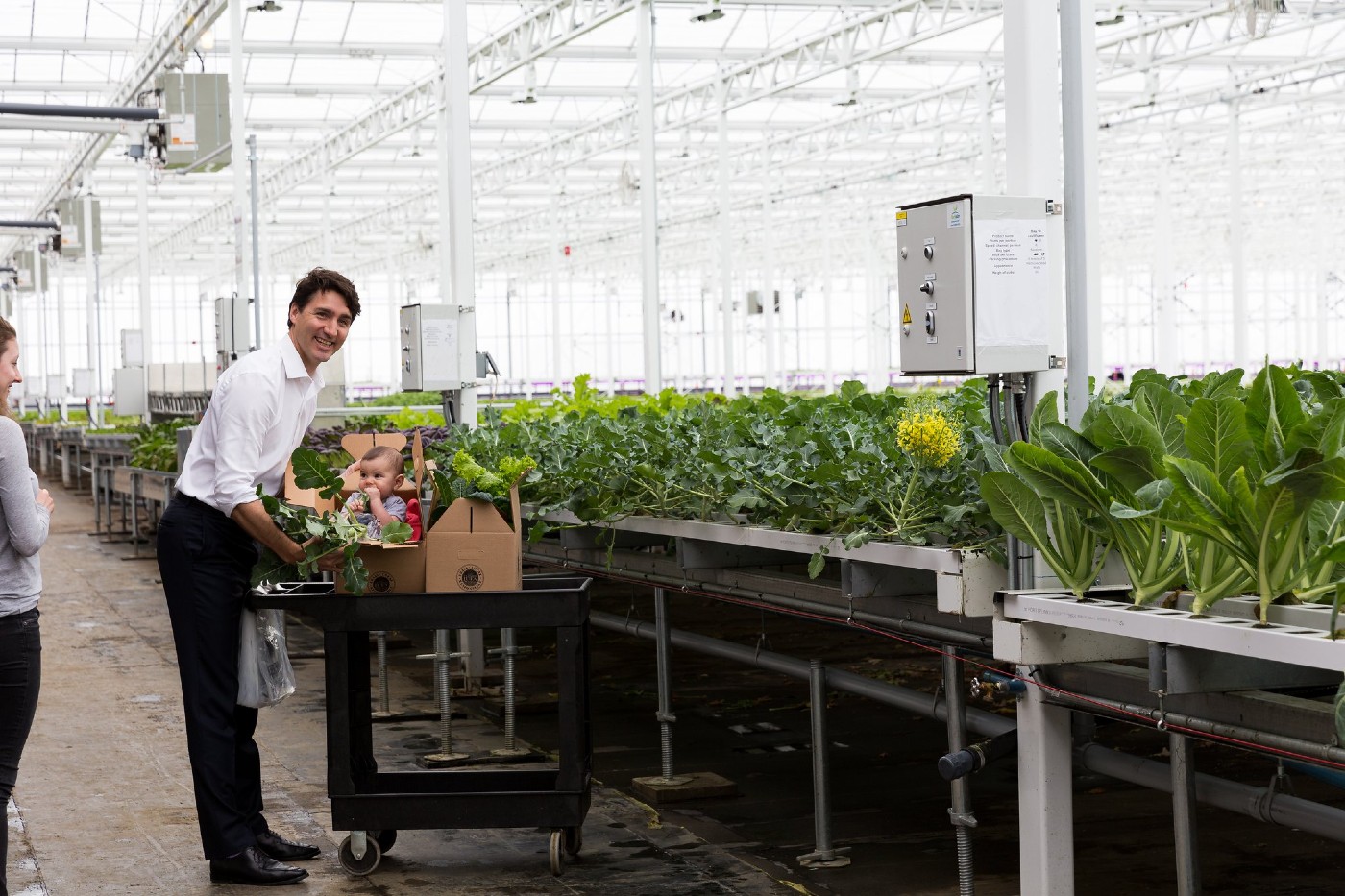 World's Biggest Rooftop Greenhouse in Montreal Now Can Feed 2 of the City