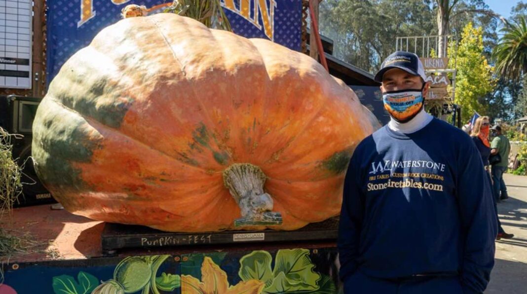 Monster Pumpkin Weighing 2,350 Pounds is Crowned Largest Grown in North