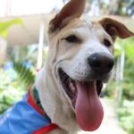 ‘Woweee’ Says World’s First Nobel Prize-Winning Mascot as He Reacts to Big Win