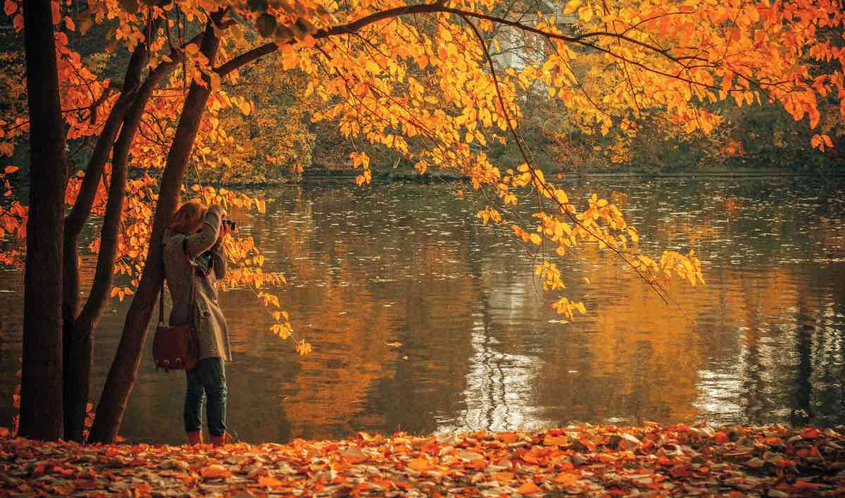 autumn-fall-leaves-lake-photographer-nature-pubdomain-Rula-Sibai.jpg