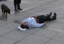 Actor in Street Performance is Pretending To Be Injured When Stray Dog Wanders Up to Love On Him