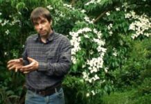 Inglés Cultiva 500 Tipos de Alimentos Comestibles con Sólo Unas Pocas Horas de Esfuerzo al Mes