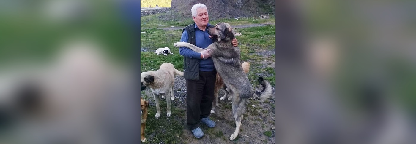 ‘Kakek’ Hewan Tunawisma Lulus dari Program Kedokteran Hewan untuk Merawat Anjing Liar