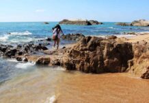 China’s Island Province Bans All Disposable Plastics; Uses Industrial Might to Ramp Up Biodegradable Ones