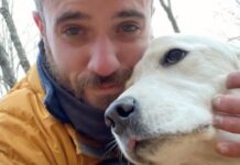 Lost in the Forest for 10 Days, This Dog Was Saved By A Drone