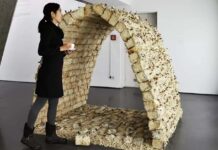 El Diseñador de Stanford Fabrica Ladrillos con Hongos de Rápido Crecimiento que Son Más Fuertes que el Concreto